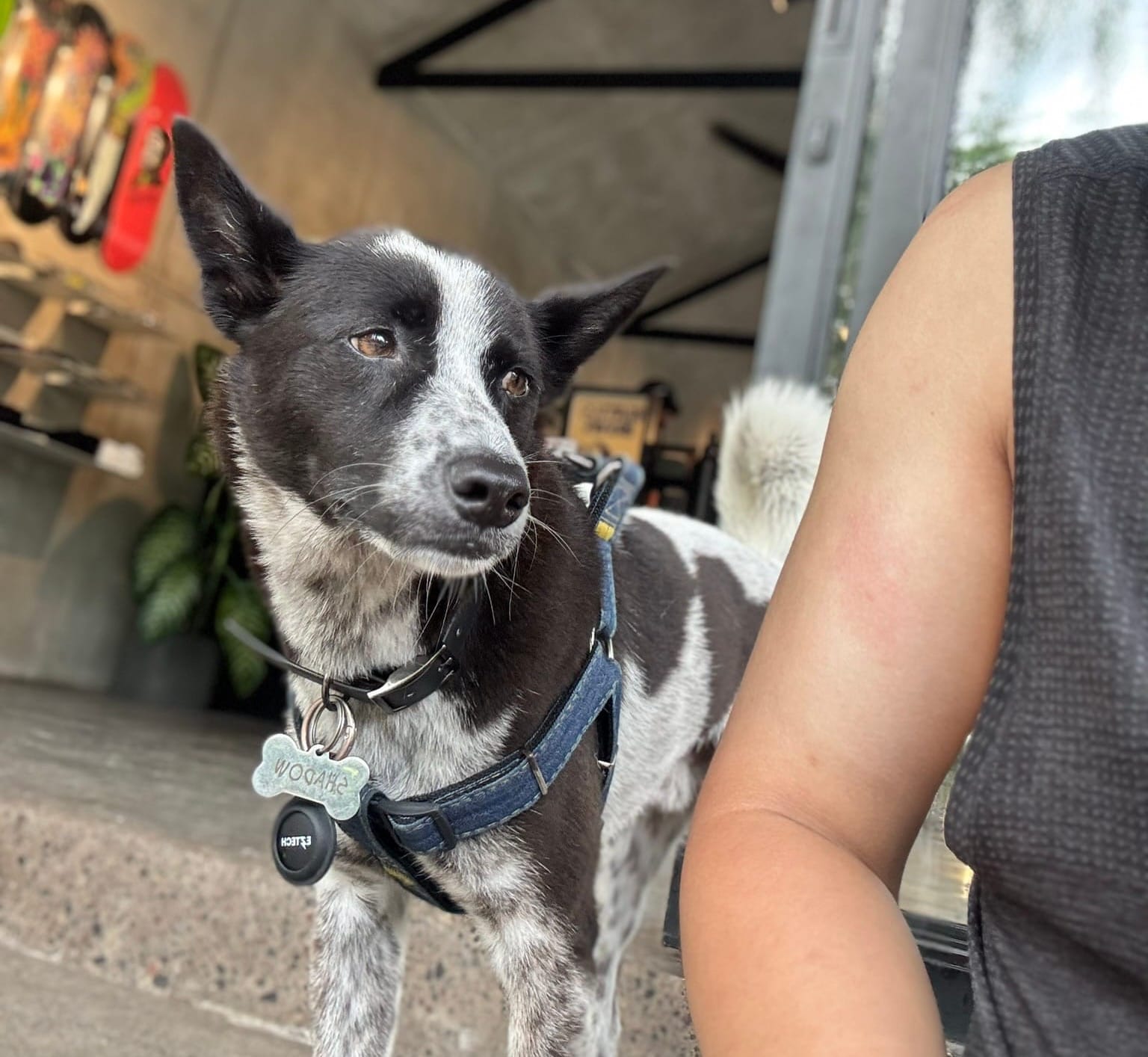 Take it slow：海豹部隊呼吸法，日常的緩和練習